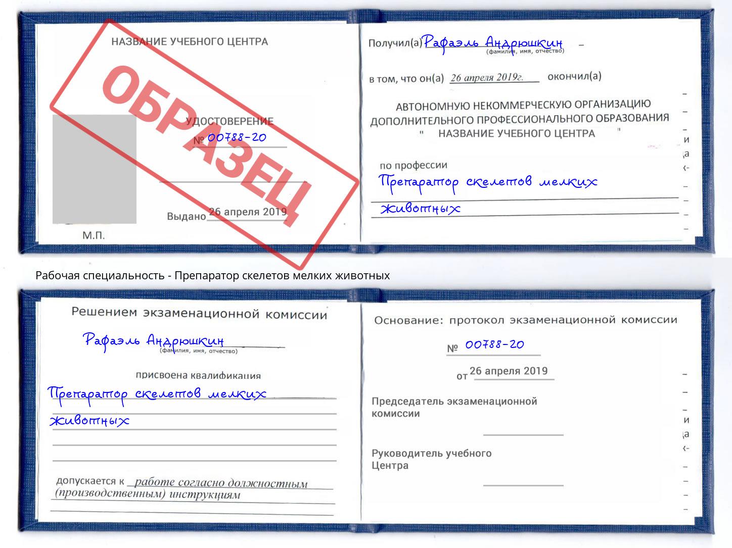 Препаратор скелетов мелких животных Заинск