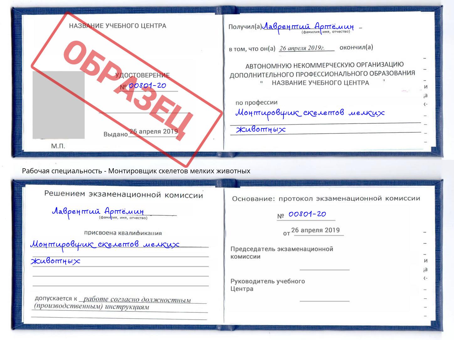 Монтировщик скелетов мелких животных Заинск