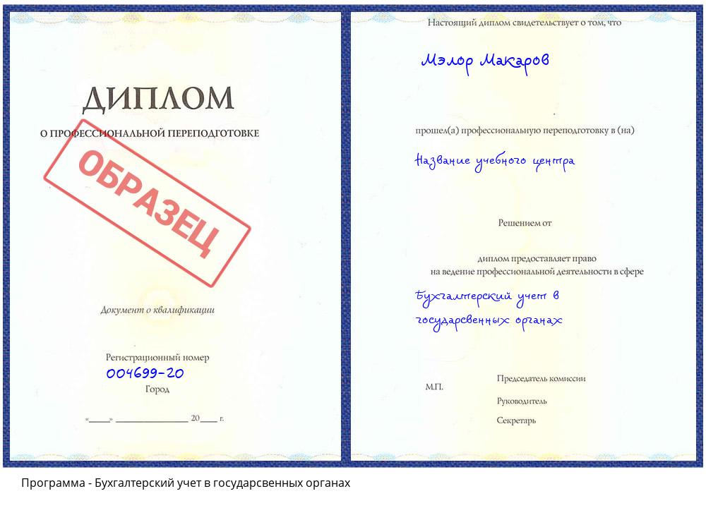 Бухгалтерский учет в государсвенных органах Заинск