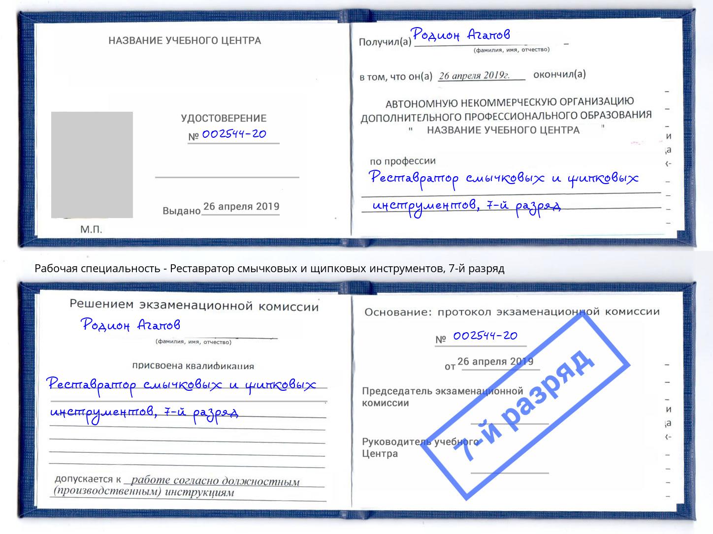 корочка 7-й разряд Реставратор смычковых и щипковых инструментов Заинск