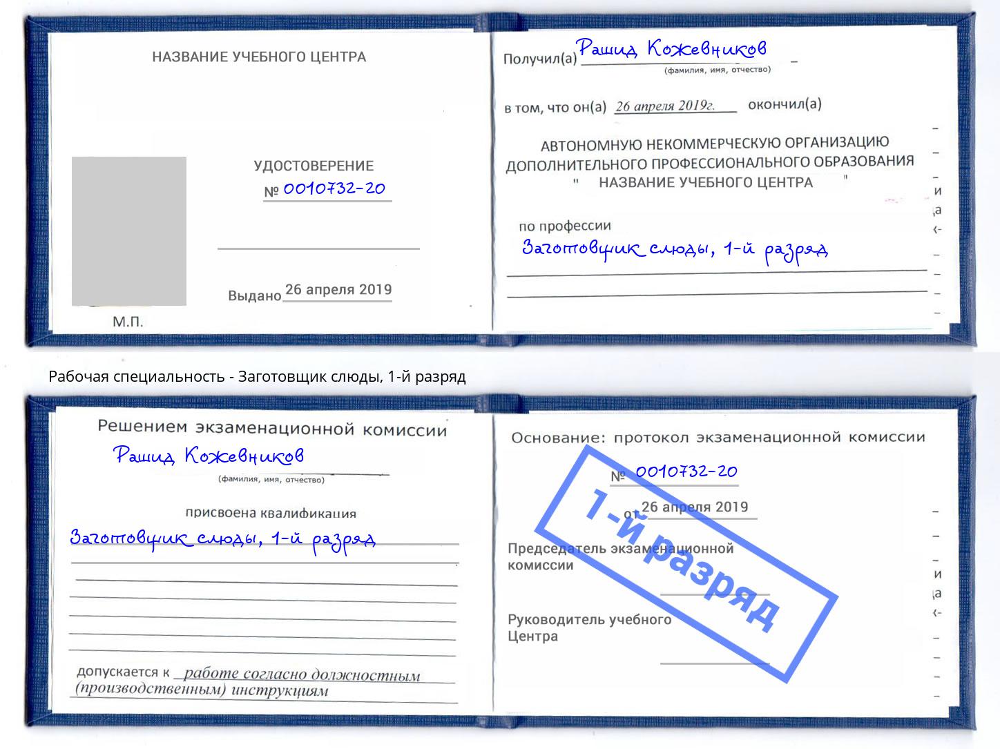 корочка 1-й разряд Заготовщик слюды Заинск